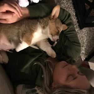 Meet your Posher, Jordan